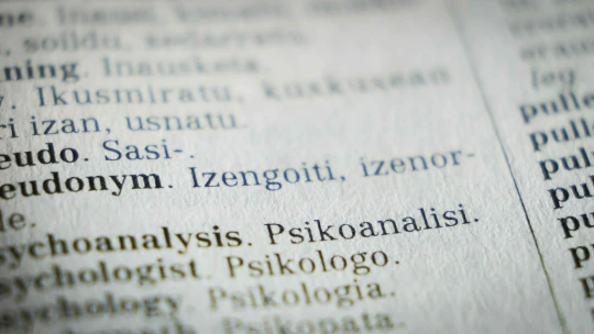 Špecialista chcel konkurovať tech gigantom. Firma s prekladačom DeepL prepustí štvrtinu ľudí