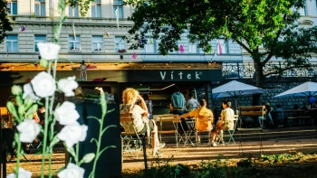 Nová skrytá oáza, o ktorej vie len málokto: tento letný podnik pod korunami stromov musíte okamžite zažiť