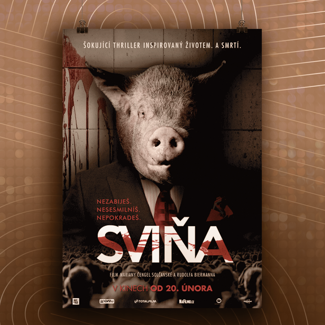 Sviňa