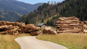 Dlhopisová mašina Wood Seeds prestala platiť investorom. Čelí insolvenčnému návrhu